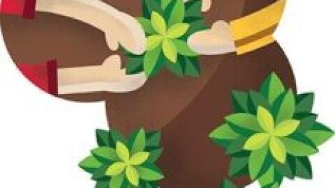torrequebrada jornadas ecologicas