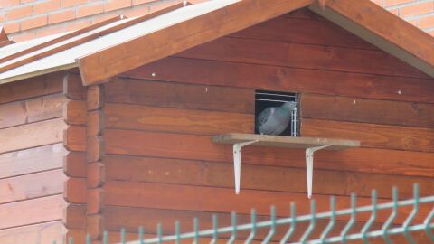 Palomar en Villalbilla