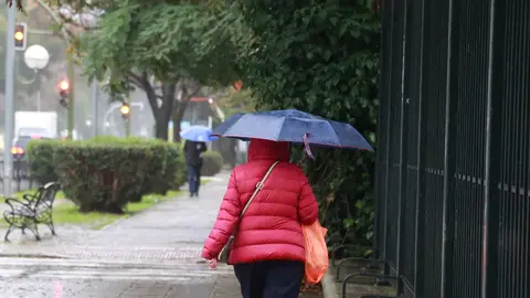 Una persona pasea por la calle bajo el paraguas por la lluvia. Una persona pasea por la calle bajo el paraguas por la lluvia.