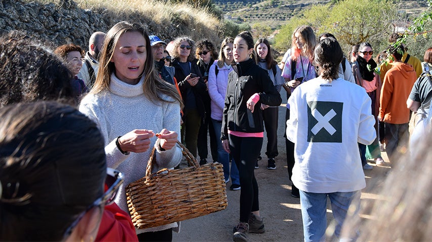 Un estudio de la UCLM revela cuáles son las empresas turísticas más sostenibles Un estudio de la UCLM revela cuáles son las empresas turísticas más sostenibles