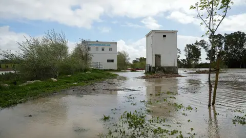 La parrilla del río Quadalet Jerus de la Frendera La parrilla del río Quadalet Jerus de la Frendera