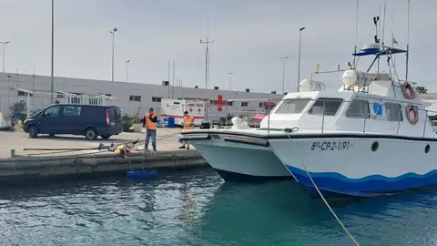 PortCastelló supervisa amb robots submarins del CIRTESU-UJI les estructures per a la renaturalització de l'àrea portuària PortCastelló supervisa amb robots submarins del CIRTESU-UJI les estructures per a la renaturalització de l'àrea portuària