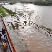 Vista del río Guadalete a su paso por la zona de la Cartura, en Jerez de la Frontera, este jueves.