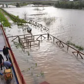 Vista del río Guadalete a su paso por la zona de la Cartura, en Jerez de la Frontera, este jueves. Vista del río Guadalete a su paso por la zona de la Cartura, en Jerez de la Frontera, este jueves.