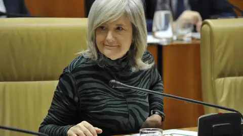 La Junta rechaza derogar la Ley de Igualdad LGTBI y Unidas plantea sus dudas ante el "noviazgo Pimpinela" de PP y Vox La Junta rechaza derogar la Ley de Igualdad LGTBI y Unidas plantea sus dudas ante el "noviazgo Pimpinela" de PP y Vox