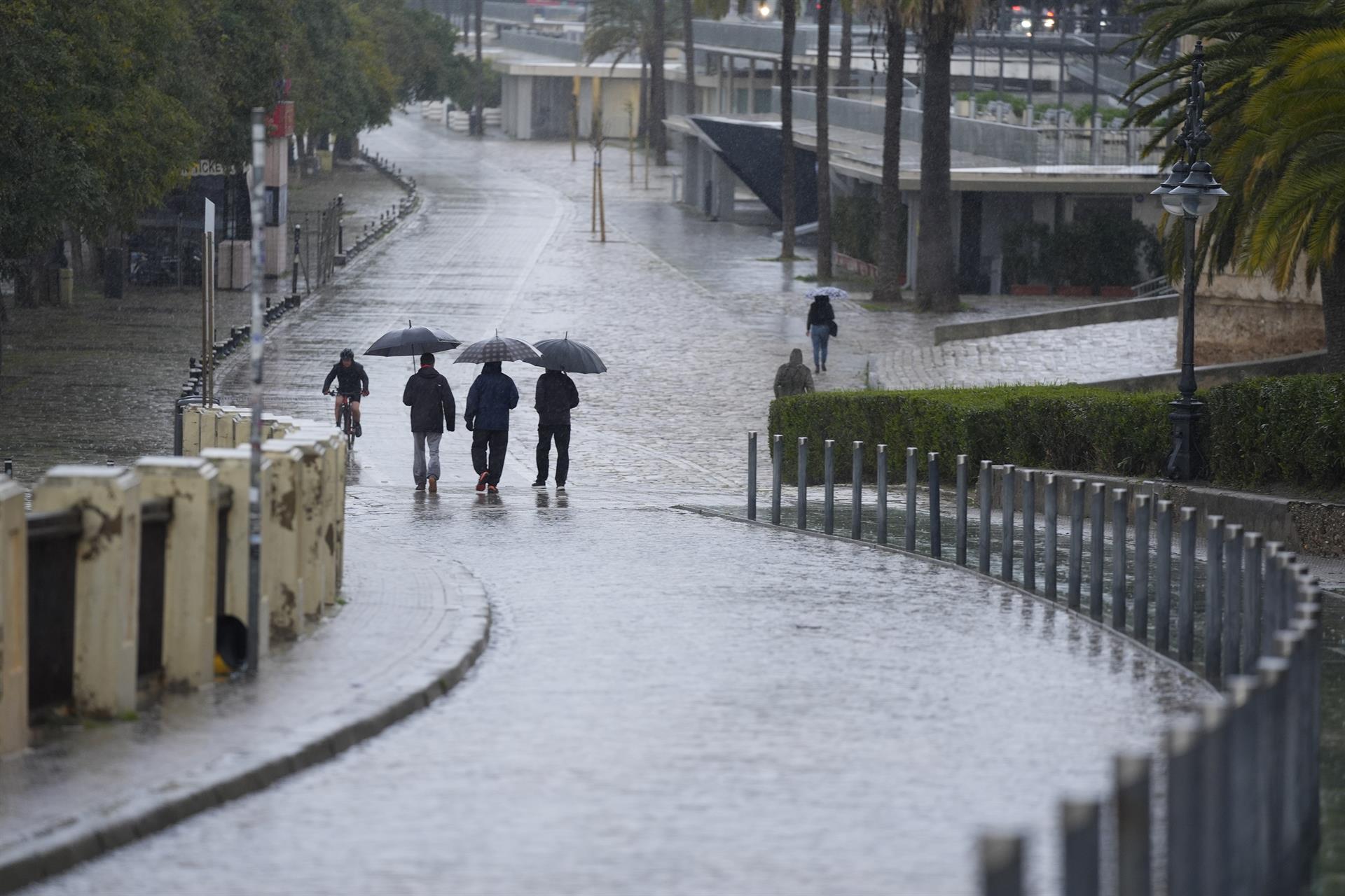 Andalucía supera las 1.400 incidencias por la lluvia con seguimiento de cauces en Cádiz, Sevilla, Málaga y Huelva Andalucía supera las 1.400 incidencias por la lluvia con seguimiento de cauces en Cádiz, Sevilla, Málaga y Huelva