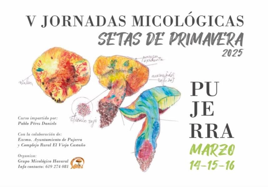 Pujerra acogerá las jornadas micológicas "Setas de primavera" Pujerra acogerá las jornadas micológicas "Setas de primavera"