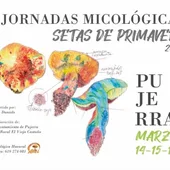 Pujerra acogerá las jornadas micológicas "Setas de primavera" Pujerra acogerá las jornadas micológicas "Setas de primavera"