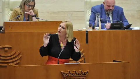 La consejera de Hacienda y Administración Pública, Elena Manzano La consejera de Hacienda y Administración Pública, Elena Manzano