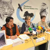 La Plataforma ha dado una rueda de prensa en Ciudad Real La Plataforma ha dado una rueda de prensa en Ciudad Real