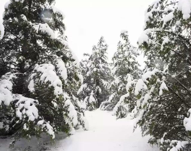 Se activa el aviso amarillo por nieve en Guadalajara Se activa el aviso amarillo por nieve en Guadalajara