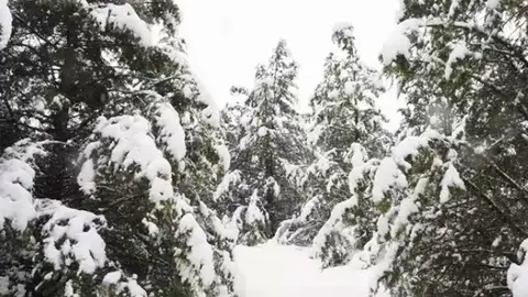 Se activa el aviso amarillo por nieve en Guadalajara Se activa el aviso amarillo por nieve en Guadalajara