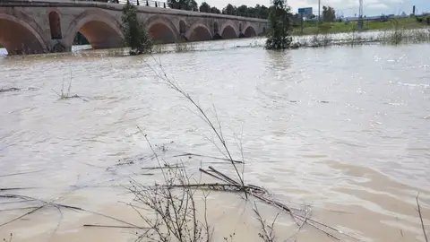 Crecida del río Guadalete a su paso por el puente de la Cartuja. A 10 de marzo de 2025, en Jerez de la Frontera, Cádiz (Andalucía, España). La alcaldesa de Jerez de la Frontera (Cádiz), Crecida del río Guadalete a su paso por el puente de la Cartuja. A 10 de marzo de 2025, en Jerez de la Frontera, Cádiz (Andalucía, España). La alcaldesa de Jerez de la Frontera (Cádiz),