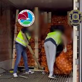 Agentes dentro de uno de los contenedores donde la mayor red de narcotráfico del Levante guardaba la cocaína entre sacos de cebollas