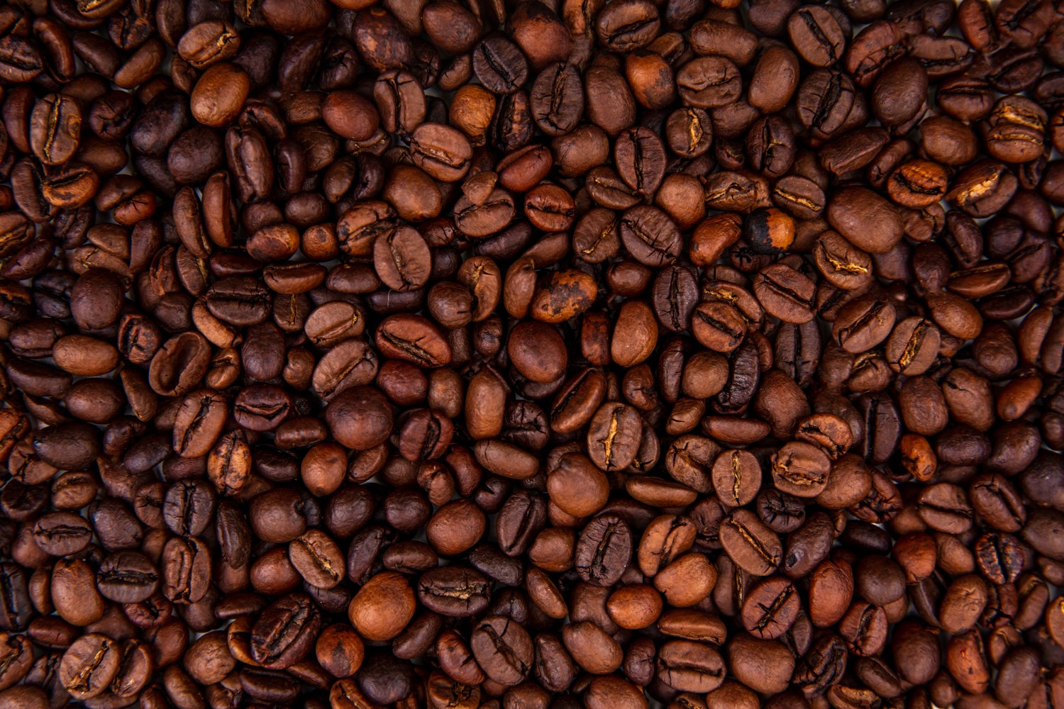 Los bebedores de café tienen una ventaja secreta para la salud: esto es lo que descubrieron los científicos Los bebedores de café tienen una ventaja secreta para la salud: esto es lo que descubrieron los científicos