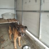 onda cero