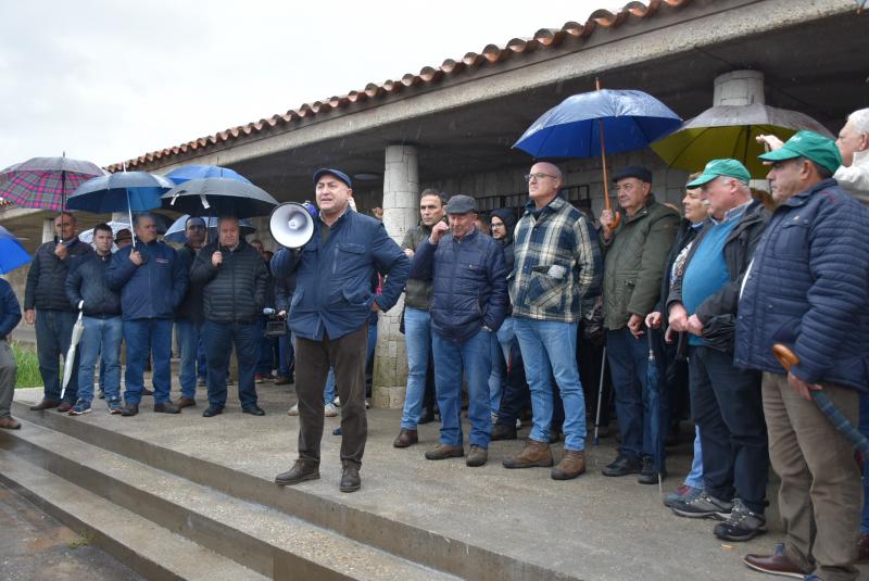 Agricultores piden la aprobación de un trasvase de 20 hectómetros a las Tablas de Daimiel Agricultores piden la aprobación de un trasvase de 20 hectómetros a las Tablas de Daimiel