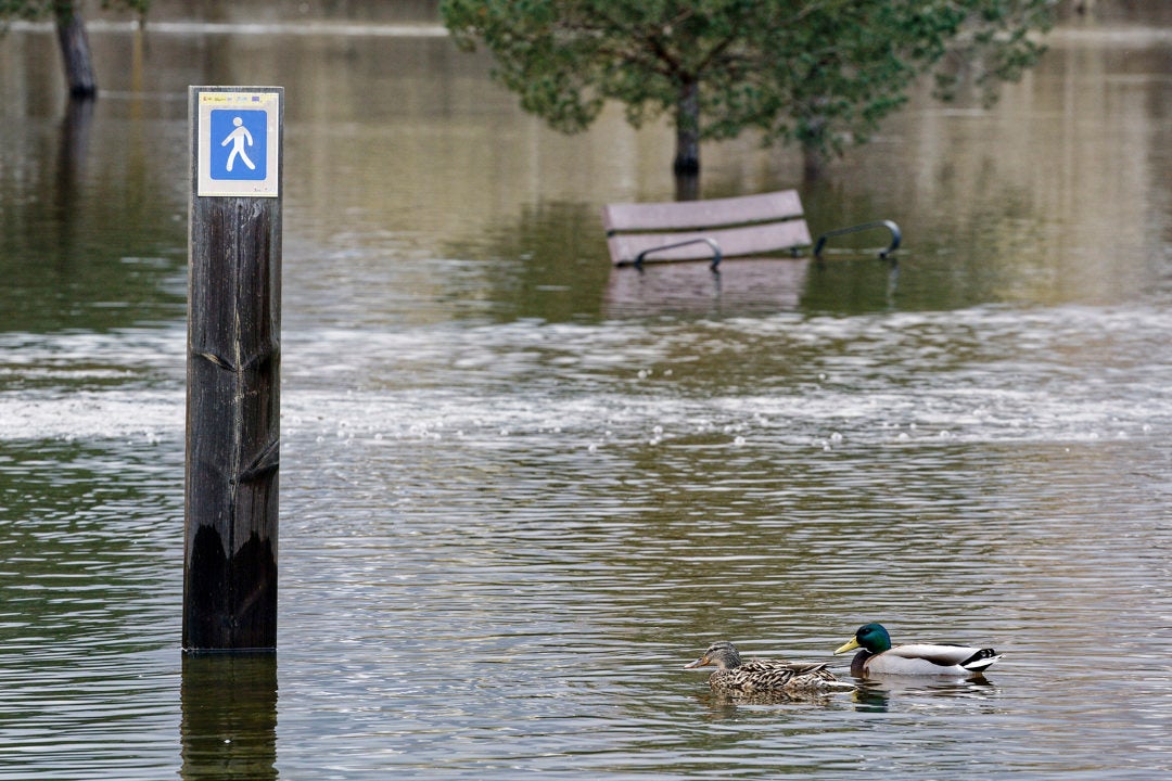 La AEMET alerta que quedan más semanas de lluvia: tras Laurence, llega Martinho La AEMET alerta que quedan más semanas de lluvia: tras Laurence, llega Martinho