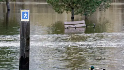 La borrasca Martinho llegará el jueves, la cuarta en quince días, y dejará lluvias generalizadas el fin de semana La borrasca Martinho llegará el jueves, la cuarta en quince días, y dejará lluvias generalizadas el fin de semana