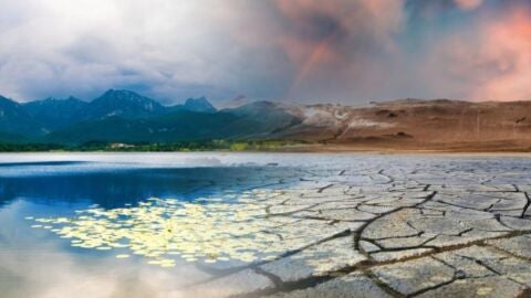 Una imagen sobre el impacto del cambio climático Una imagen sobre el impacto del cambio climático