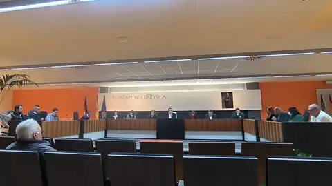 Peñíscola aprueba en pleno la Declaración Institucional para la modificación del reglamento europeo de pesca Peñíscola aprueba en pleno la Declaración Institucional para la modificación del reglamento europeo de pesca