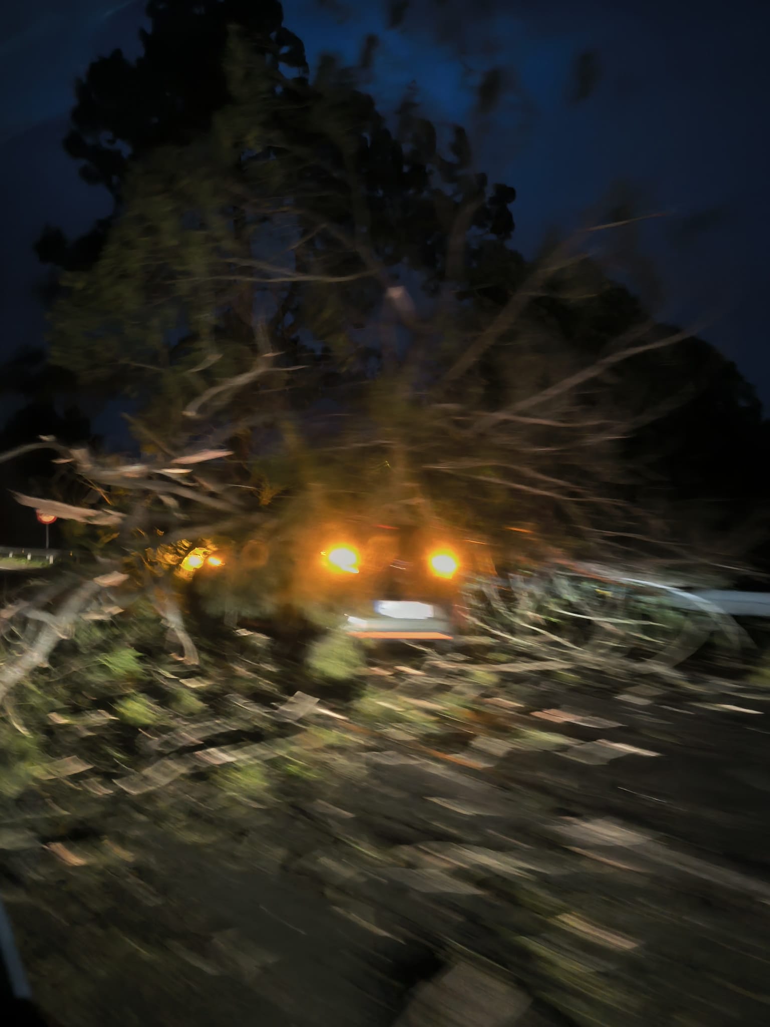 Dos personas heridas y decenas de incidencias por el fuerte viento en la comarca de Vigo Dos personas heridas y decenas de incidencias por el fuerte viento en la comarca de Vigo