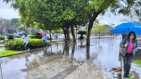 Varias personas sortean, haciendo equilibrios, el enorme charco que se ha ido formando en el acerado del Prado de San Sebastián de Sevilla, Varias personas sortean, haciendo equilibrios, el enorme charco que se ha ido formando en el acerado del Prado de San Sebastián de Sevilla,