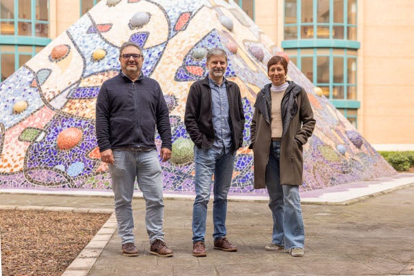 La Universitat Jaume I impulsa un projecte innovador en nanotecnologia per a millorar teràpies contra el càncer i malalties infeccioses La Universitat Jaume I impulsa un projecte innovador en nanotecnologia per a millorar teràpies contra el càncer i malalties infeccioses