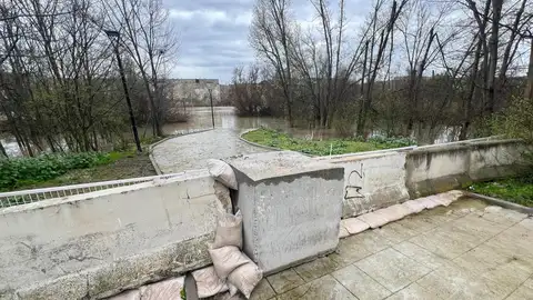 El Pricam solicita a la Delegación medios para una barrera de contención en Parapléjicos en Toledo El Pricam solicita a la Delegación medios para una barrera de contención en Parapléjicos en Toledo