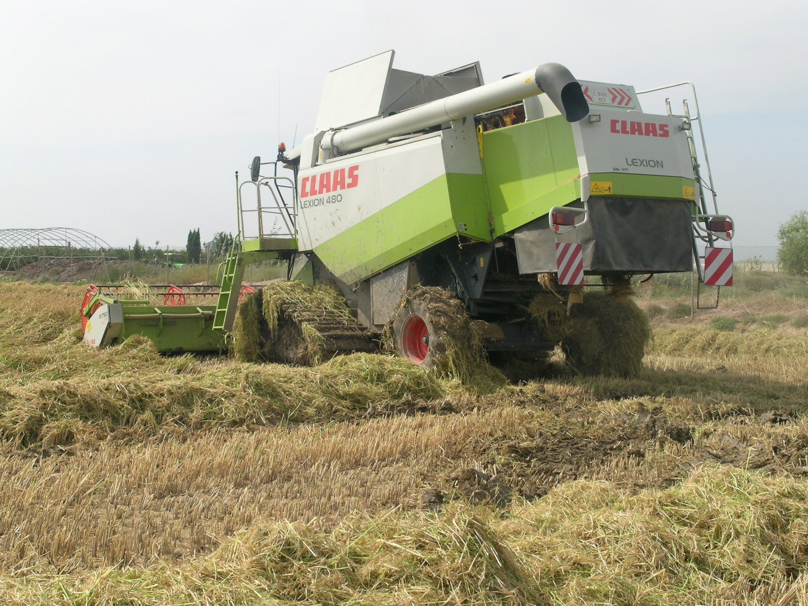 LA UNIÓ denuncia una caída del precio del arroz de un 8% en un contexto de subida de las importaciones del 15% LA UNIÓ denuncia una caída del precio del arroz de un 8% en un contexto de subida de las importaciones del 15%