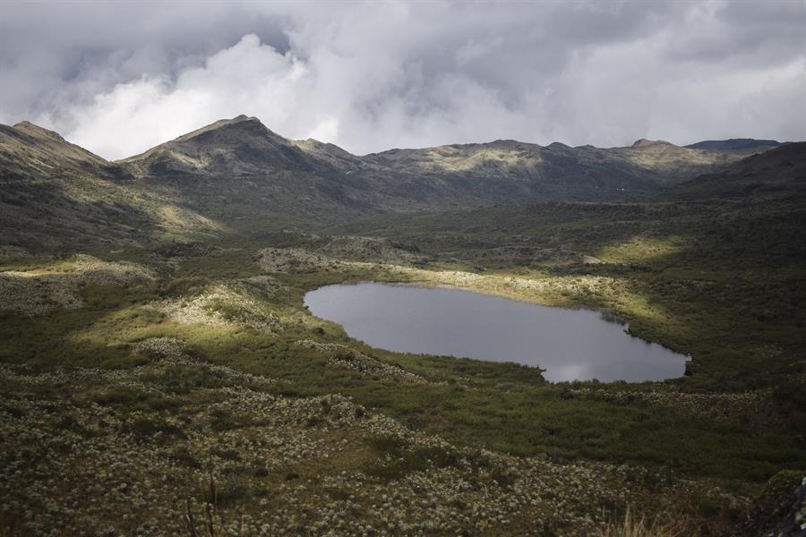 Qué es el apagón mundial por la Hora del Planeta: cuándo es y por qué se produce Qué es el apagón mundial por la Hora del Planeta: cuándo es y por qué se produce