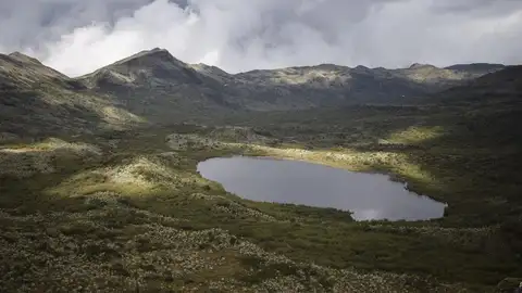 Paramo de Chingaza, el 16 de noviembre de 2019. El páramo de Chingaza, situado en el Parque Nacional Natural del mismo nombre. Paramo de Chingaza, el 16 de noviembre de 2019. El páramo de Chingaza, situado en el Parque Nacional Natural del mismo nombre.