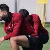 Alves