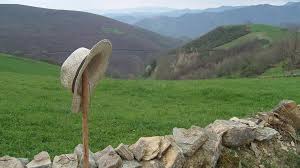 El voto en las provincias más despobladas: claves y tendencias El voto en las provincias más despobladas: claves y tendencias