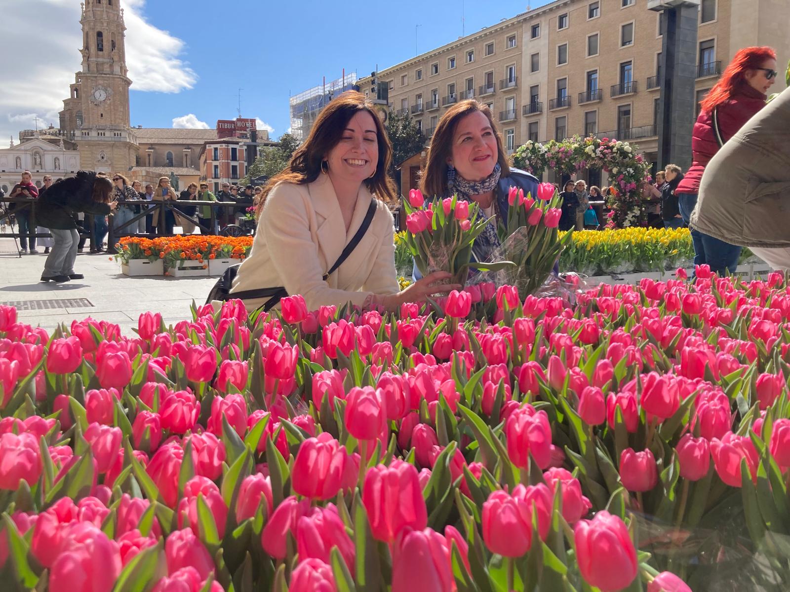 Zaragoza celebrará el Hola Primavera sin el espectacular anillo en el Puente de Piedra Zaragoza celebrará el Hola Primavera sin el espectacular anillo en el Puente de Piedra