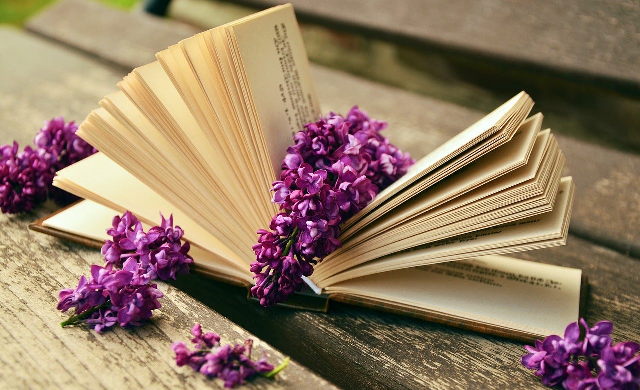Literatura en clau femenina Literatura en clau femenina