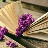 literatura en femení literatura en femení
