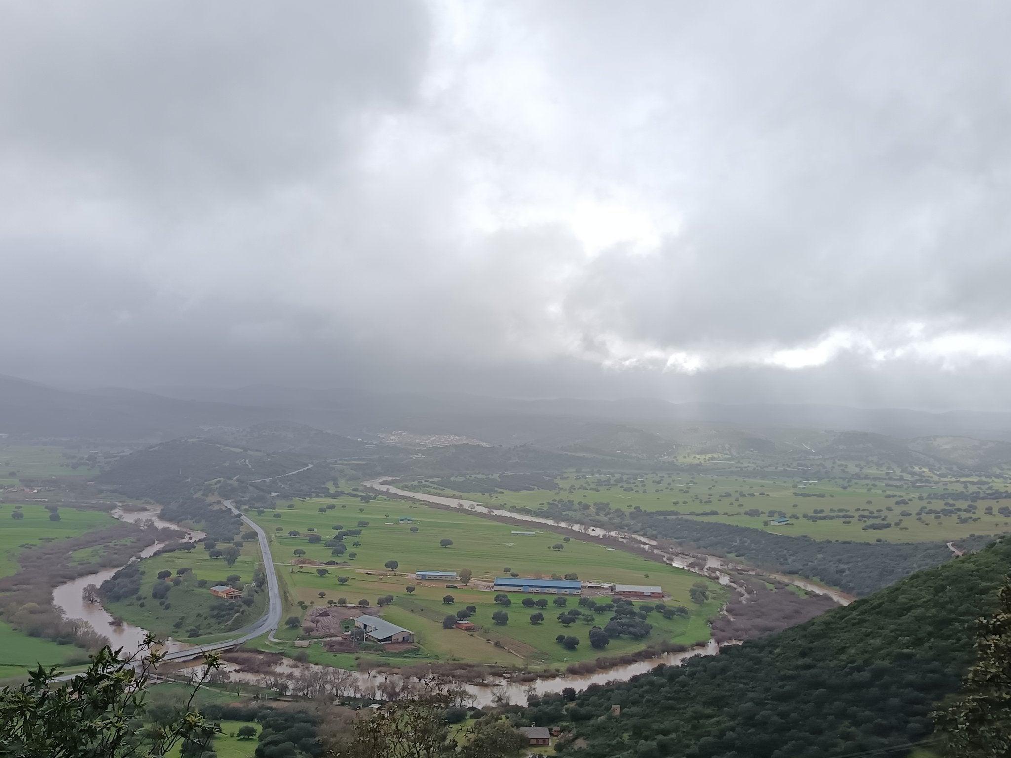 El campo de Ciudad Real recibe con agrado las lluvias de las últimas semanas El campo de Ciudad Real recibe con agrado las lluvias de las últimas semanas