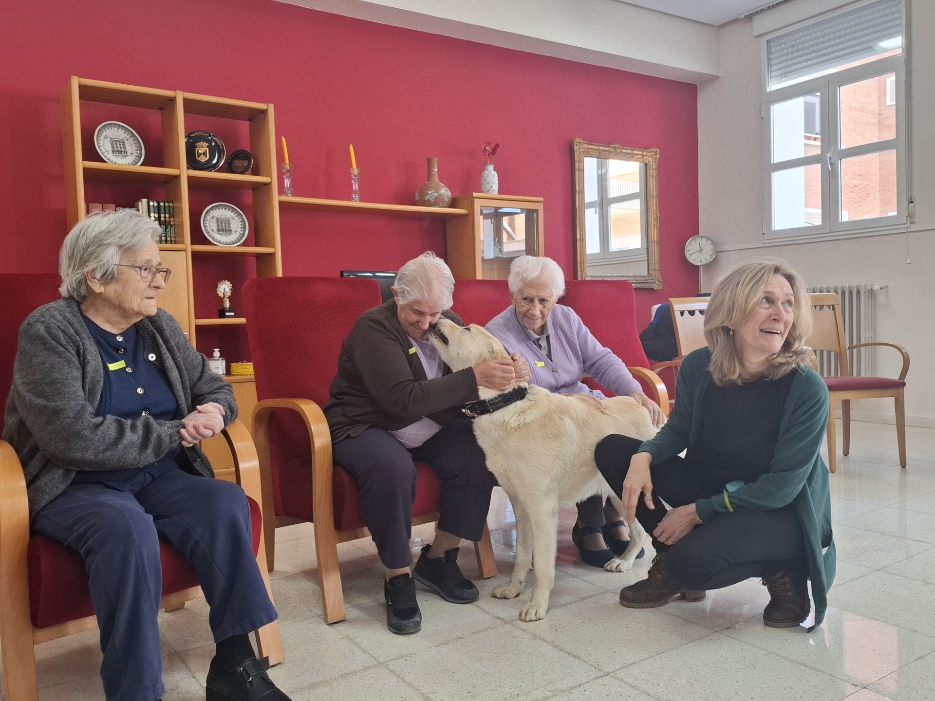 La Residencia de Mayores de San Telmo, dependiente de la Diputación de Palencia, incluye entre sus actividades la Terapia Canina La Residencia de Mayores de San Telmo, dependiente de la Diputación de Palencia, incluye entre sus actividades la Terapia Canina