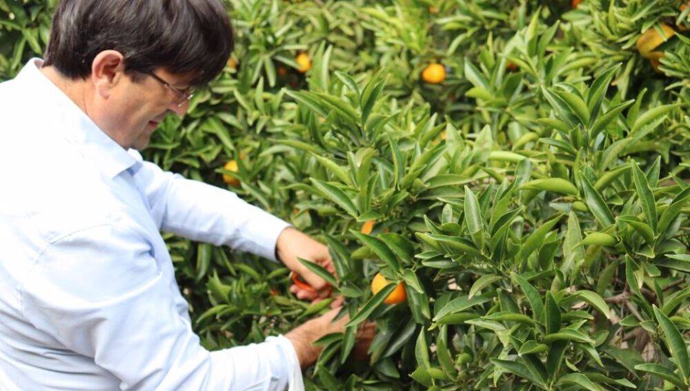 José Vicente Andreu. Presidente ASAJA Alicante