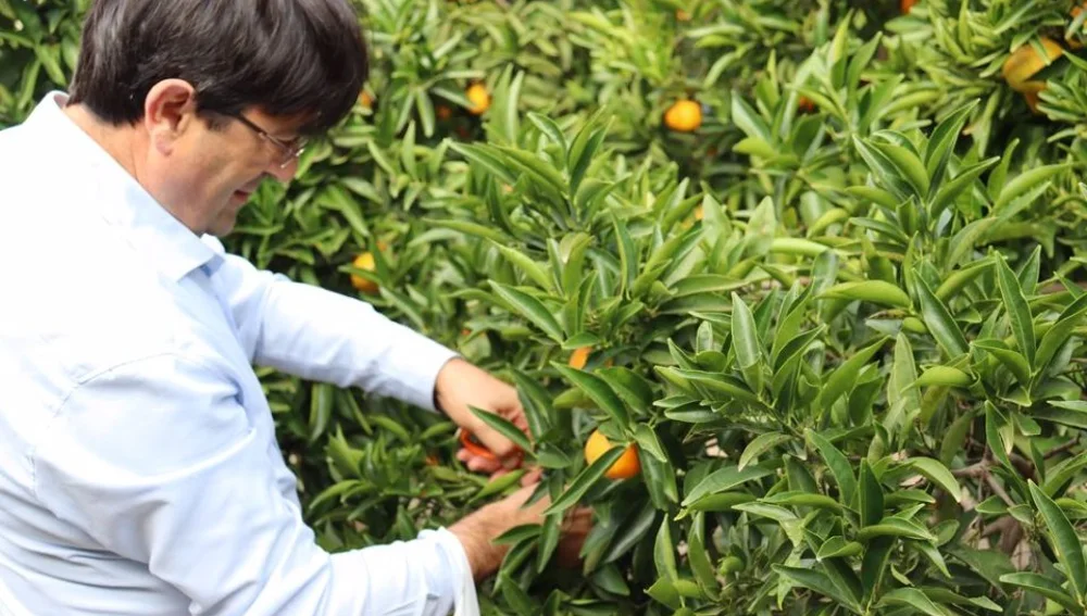 José Vicente Andreu. Presidente ASAJA Alicante José Vicente Andreu. Presidente ASAJA Alicante