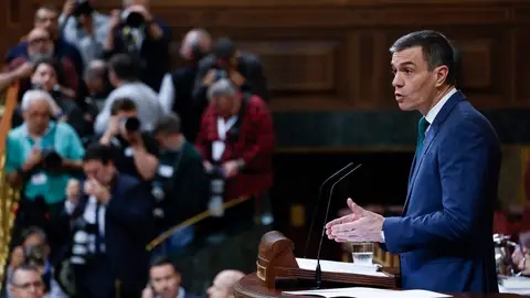 El presidente del Gobierno, Pedro Sánchez, durante su comparecencia El presidente del Gobierno, Pedro Sánchez, durante su comparecencia/ EFE/ Javier Lizón