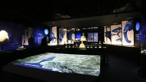 Exposición Ciudades de Luz Exposición Ciudades de Luz