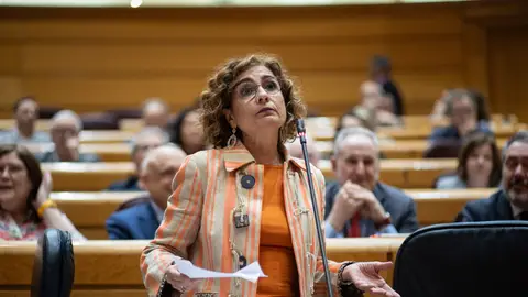 La vicepresidenta primera y ministra de Hacienda, María Jesús Montero, durante una sesión de control al Gobierno, en el Senado La vicepresidenta primera y ministra de Hacienda, María Jesús Montero, durante una sesión de control al Gobierno, en el Senado/ Alejandro Martínez Vélez / Europa Press