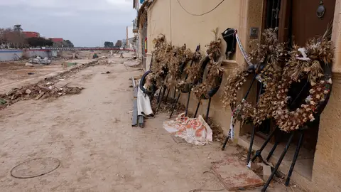Coronas de flores ya secas en el barranco del Poyo en la localidad de Pincanya, Valencia. Coronas de flores ya secas en el barranco del Poyo en la localidad de Pincanya, Valencia.