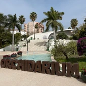 Nace en Estepona la primera Asociación de Jueces de Orquídeas de España Nace en Estepona la primera Asociación de Jueces de Orquídeas de España