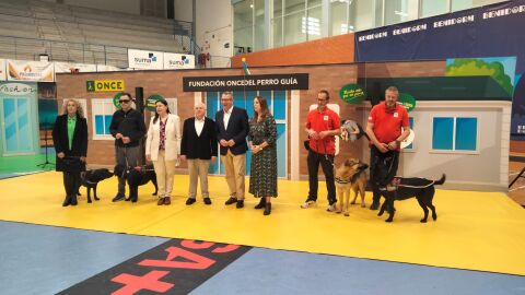 Exhibici&oacute;n Perros Gu&iacute;a Once Benidorm