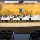 Pleno de Altea