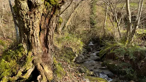 Quedamos en el Oriente 27/03/2025 Quedamos en el Oriente 27/03/2025