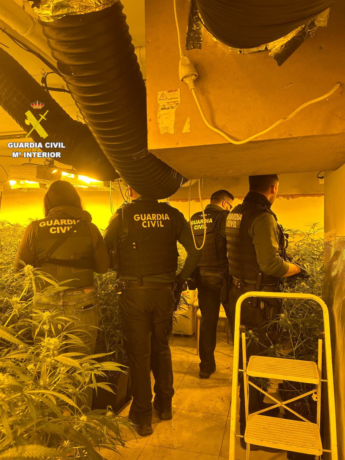 La Guardia Civil desmantela una plantación “Indoor” de marihuana en Peñíscola La Guardia Civil desmantela una plantación “Indoor” de marihuana en Peñíscola